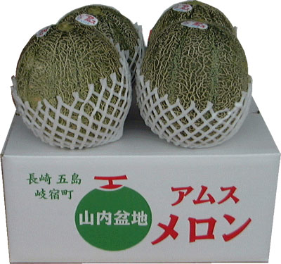 予約!!　アムスメロン(正味５kg以上)送料込