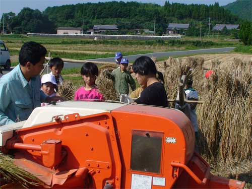 21年度新米　掛け干し　ひのひかり(10キロ)