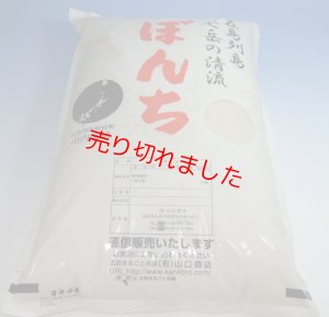 画像1: 新米令和６年五島産　ひのひかり(１０キロ)