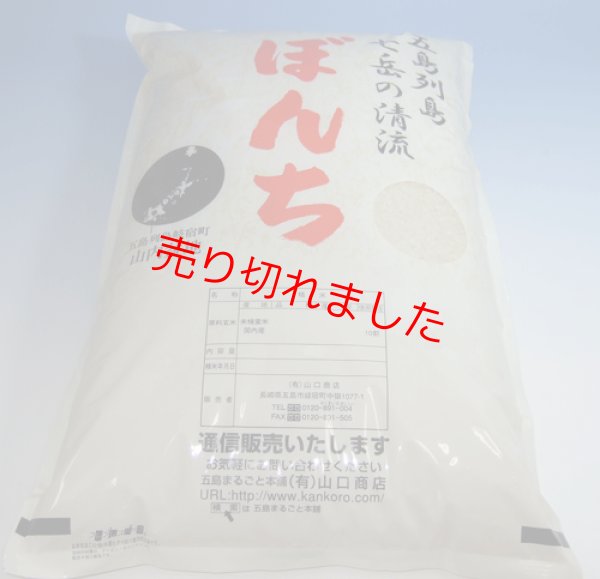 画像1: 新米令和６年五島産　ひのひかり(５キロ)