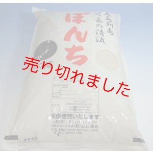 画像: 新米令和６年五島産　ひのひかり(１０キロ)