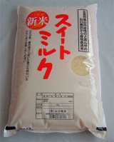 画像: 令和７年五島産　ミルキークイーン(5kg)