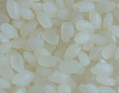画像: 新米令和６年五島産　ミルキークイーン(2kg)