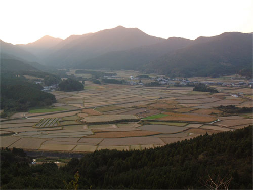 画像: 新米令和６年五島産　ミルキークイーン(30kg)玄米袋発送